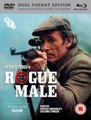 Rogue male poster